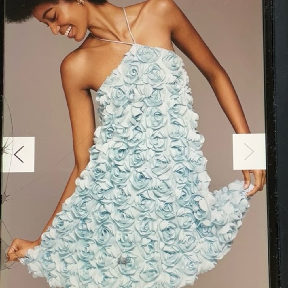 Sunday in Brooklyn Powder Blue Mini Dress with 3D Rosettes